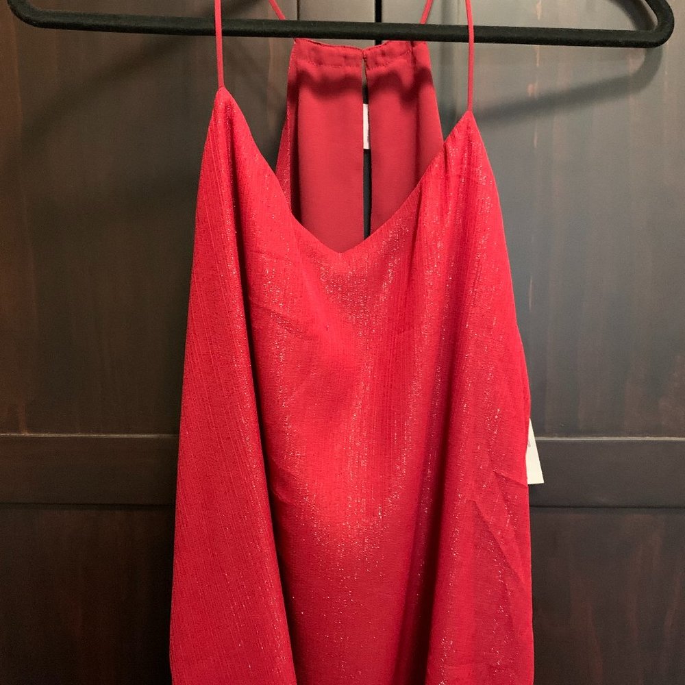 Express dressy top